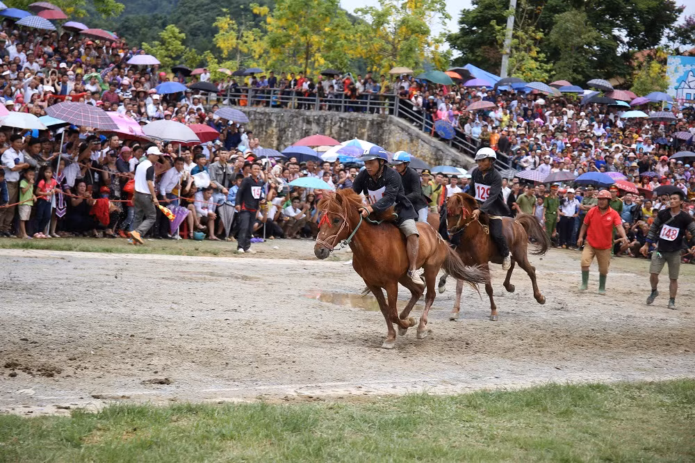 Lan dau to chuc le hoi dua ngua truyen thong vung cao tai Fansipan-Hinh-4