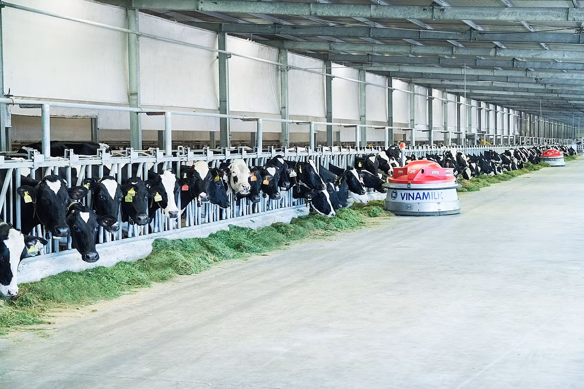 Mot vong kham pha trang trai “Thong minh” cua Vinamilk-Hinh-5
