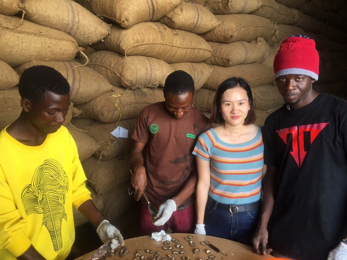 Tap doan T&T Group ky hop dong lon nhat trong lich su nganh dieu the gioi-Hinh-3