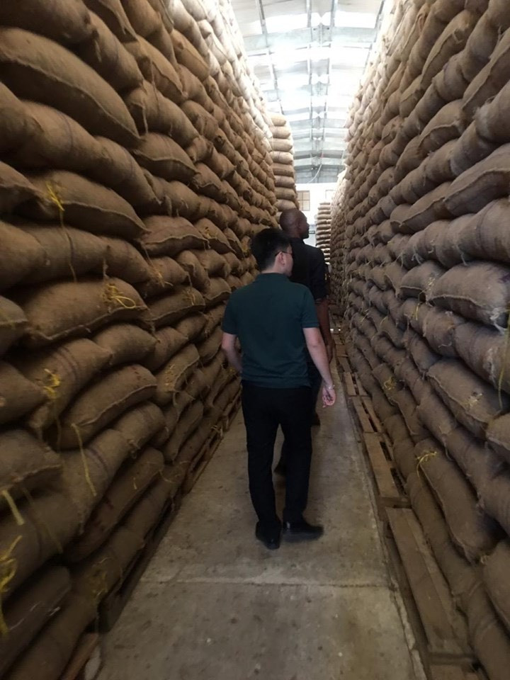 Tap doan T&T Group ky hop dong lon nhat trong lich su nganh dieu the gioi-Hinh-4