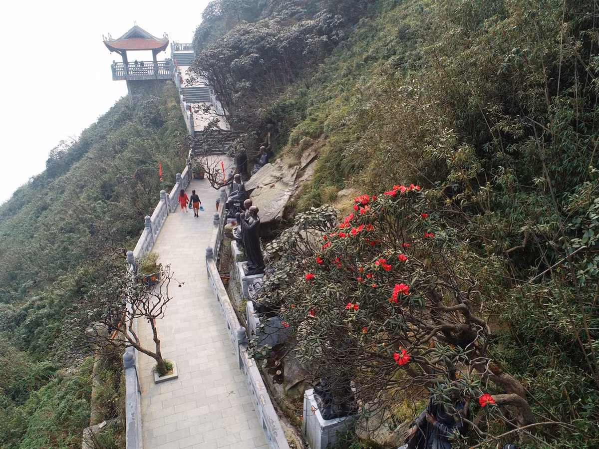 Xach ba lo len va kham pha Vuong quoc hoa do quyen-Hinh-6