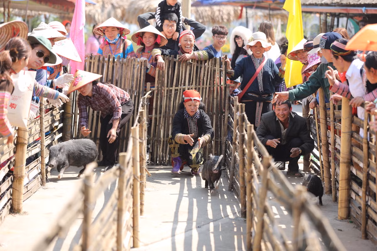 Xach ba lo len va kham pha Vuong quoc hoa do quyen-Hinh-9