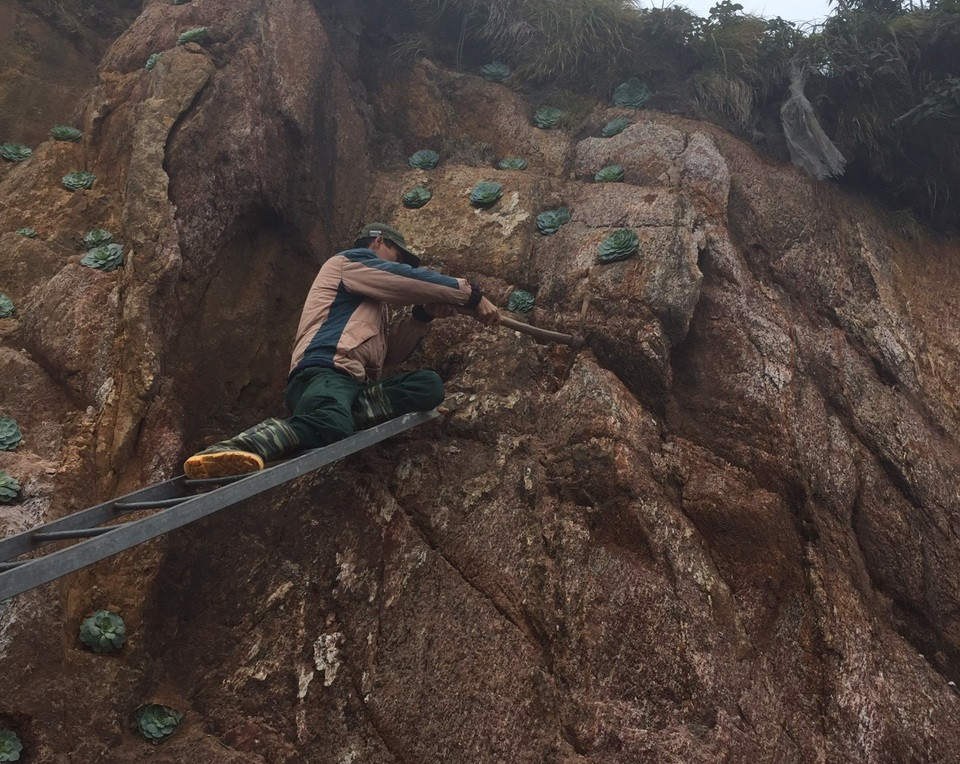 Tam su nhung nguoi trong hoa bang…niem tin tren cac dinh nui-Hinh-2