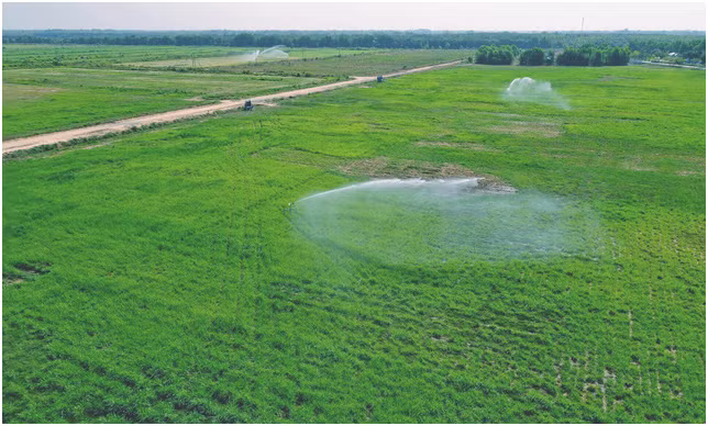 Check-in tai “Resort” bo sua sieu dep cua Vinamilk Tay Ninh-Hinh-10