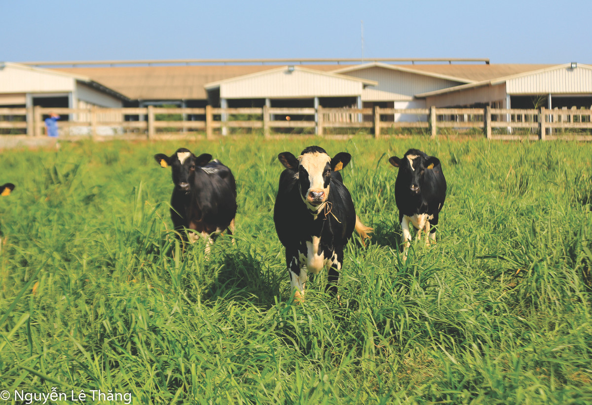 Ba Thai Huong lan thu ba lot top 50 phu nu anh huong nhat Viet Nam-Hinh-2