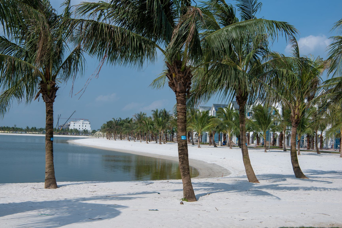 Chiem nguong thanh pho bien ho Vinhomes Ocean Park sap lo dien-Hinh-2