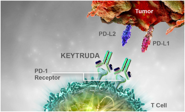 Viet Nam lan dau tien dieu tri thanh cong u lympho te bao T/NK bang thuoc mien dich-Hinh-2