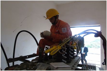 Ron rang nhung cong trinh ngay nhung ngay dau xuan 2019-Hinh-5