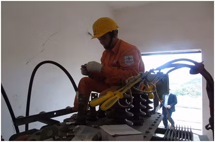 Ron rang nhung cong trinh ngay nhung ngay dau xuan 2019-Hinh-5