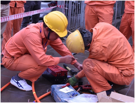 Ron rang nhung cong trinh ngay nhung ngay dau xuan 2019-Hinh-2