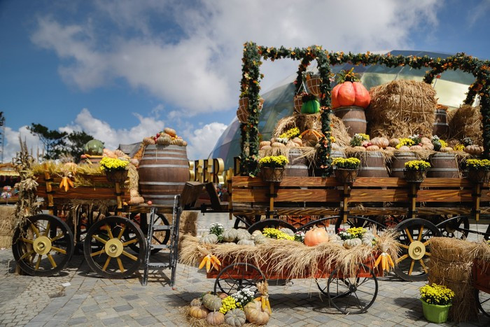 Cuc soc: Gia ve cap treo Ba Na dac biet danh cho du khach mien Trung - Tay Nguyen-Hinh-5