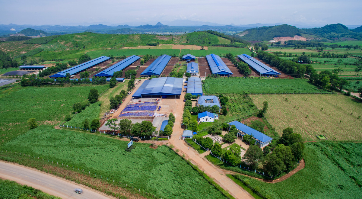 Dau an Vinamilk trong su phat trien nganh chan nuoi bo sua cong nghe cao-Hinh-3