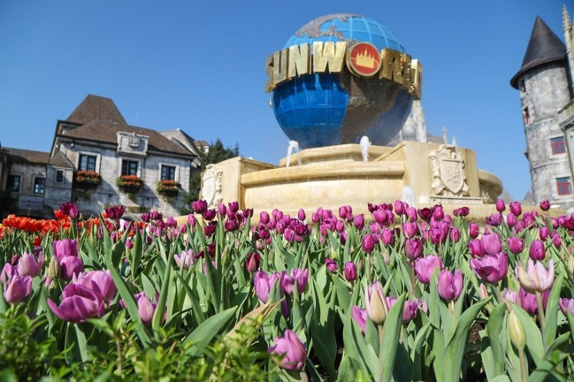 Mê mải giữa “đồi” tulip ngạt ngào hương sắc tại Bà Nà Me mai giua “doi” tulip ngat ngao huong sac tai Ba Na