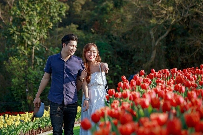 Mê mải giữa “đồi” tulip ngạt ngào hương sắc tại Bà Nà - Hình 4 Me mai giua “doi” tulip ngat ngao huong sac tai Ba Na-Hinh-4