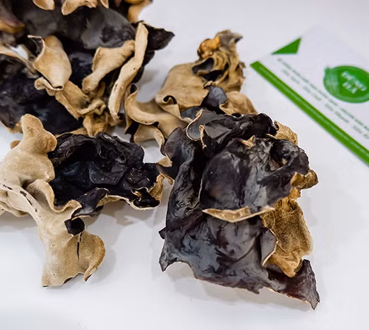 Đặc biệt, mộc nhĩ giúp ngăn ngừa các bệnh mãn tính như ung thư, viêm khớp dạng thấp và bệnh tim. Ảnh: nongsandungha.