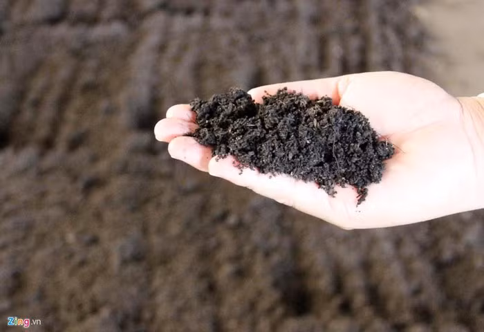 Phân hữu cơ sản xuất tại Nhà máy xử lý rác thải Cà Mau. Theo lãnh đạo Sở Tài chính tỉnh Cà Mau, giá mỗi tấn rác được xử lý tại nhà máy này là 460.000 đồng. Do đây là doanh nghiệp hoạt động trong lĩnh vực công ích, phân compost được sản xuất từ quy trình xử lý rác chưa bán được nên doanh nghiệp đề nghị UBND tỉnh Cà Mau trợ giá mỗi tấn rác 450.000 đồng.