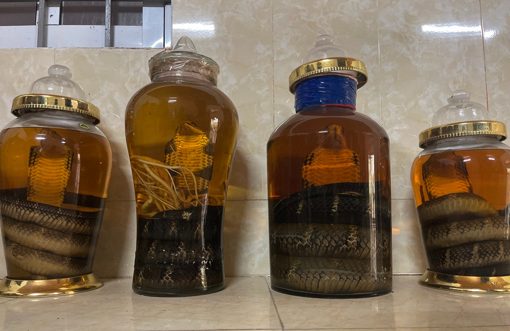 Ngoài các sản phẩm là rắn hổ mang thương phẩm và rắn hổ mang sinh sản, các thương lái còn về làng thu mua rắn hổ mang về chế biến rượu rắn, cao rắn, xác rắn lột làm thuốc chữa bệnh.