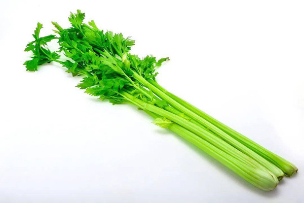 Cần tây. Cần tây giàu apigenin và luteolin dễ bị phân hủy khi đun nóng trong môi trường kiềm yếu (nước máy). Vì vậy, chuyên gia dinh dưỡng khuyên nên ăn sống cần tây để bảo toàn dưỡng chất, tận dụng tối đa khả năng chống viêm. (Ảnh: Sohu)