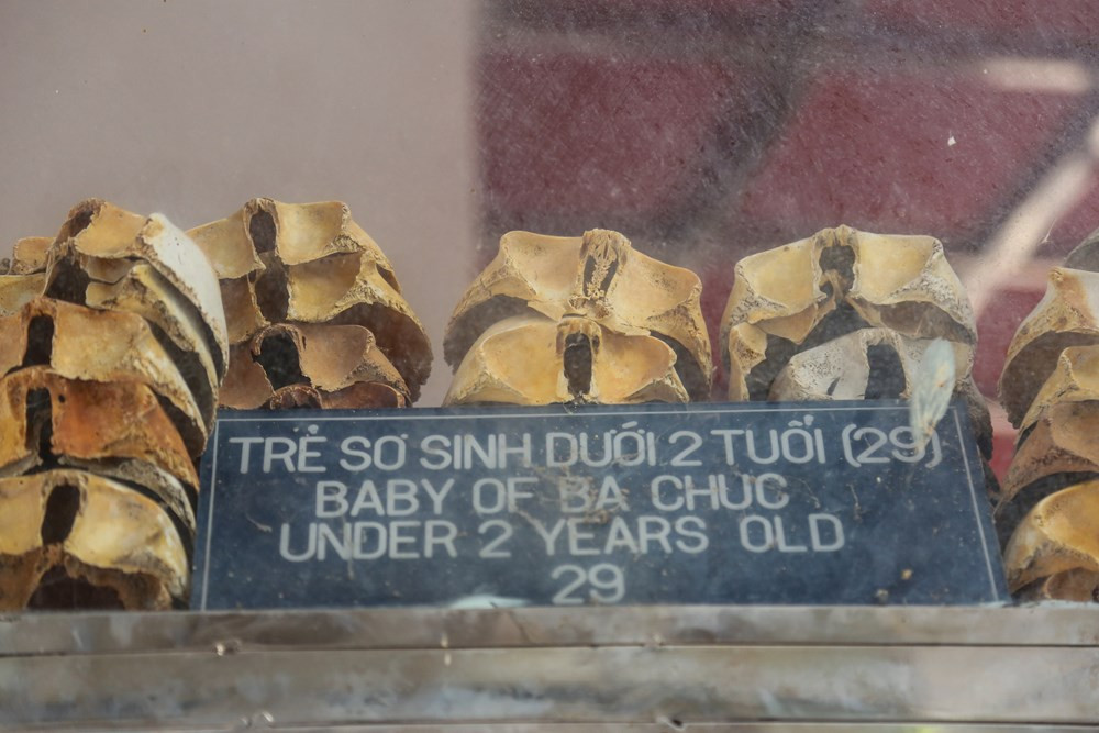 Xương cốt của các nạn nhân được phân chia theo độ tuổi từ trẻ đến già. (Ảnh: Minh Sơn/Vietnam+)