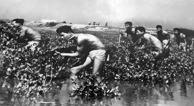 Đặc công hải quân luyện tập đánh địch tại căn cứ Vĩnh Linh, Quảng Trị. (Ảnh: Tư liệu/TTXVN phát)