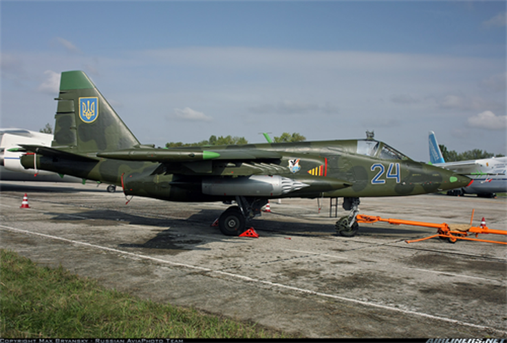 Các nhà báo không đưa ra số liệu thống kê chính xác về nạn nhân. Nhưng họ rất tự tin tuyên bố rằng "khi dân quân bắn hạ một trong những máy bay vận tải Il-76 của Ukraine bằng tên lửa, 49 người đã chết".