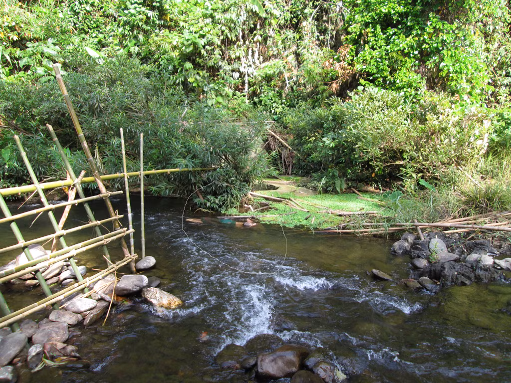 Hien truong tham sat 4 nguoi trong mot gia dinh-Hinh-4