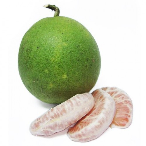 Bạn có thể kiểm tra xem bưởi còn tươi không bằng cách dùng móng tay bấm vào cuống bưởi nếu thấy sụt là cuống tươi, thấy dai là cuống không còn tươi.