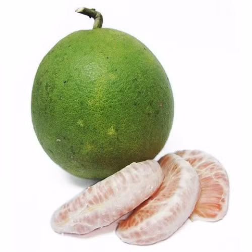 Bạn có thể kiểm tra xem bưởi còn tươi không bằng cách dùng móng tay bấm vào cuống bưởi nếu thấy sụt là cuống tươi, thấy dai là cuống không còn tươi.