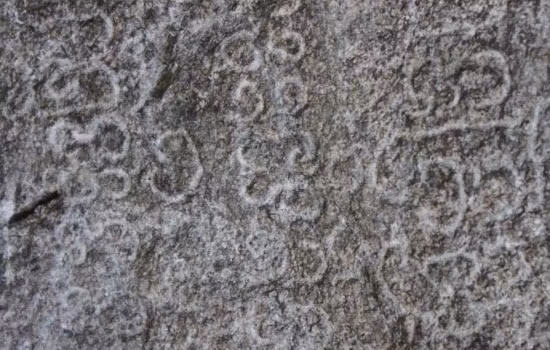 Thuc hu bia da luu giu ban do kho bau co-Hinh-3