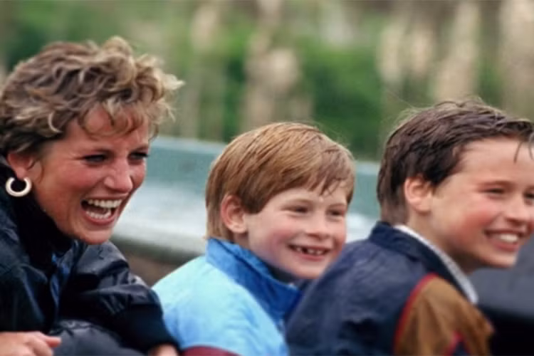 Ngoài Thái tử Charles, thì các Hoàng tử William và Hoàng tử Harry cũng nhận được lợi tức từ các nguồn thu bất động sản ở Cornwall. Nguồn ảnh: Insider.