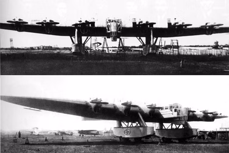 Chiếc Kalinin K-7 có chiều dài 28 m; sải cánh 53 m; chiều cao 12,4 m; diện tích cánh 454 m²; trọng lượng rỗng 24.400 kg; trọng lượng có tải 38.000 kg; kíp lái 11 người và có khả năng chuyên chở 120 hành khách cùng 7.000 kg hàng hóa. Nguồn ảnh: airwar.ru.