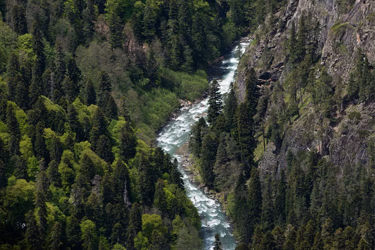 Khu bảo tồn thiên nhiên Caucasus, bao gồm một phần rất nhiều ngọn núi của dãy núi Tây Bắc Caucasus. Nguồn ảnh: TASS.