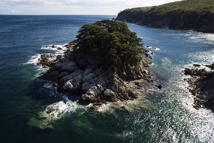 Một phần của Vịnh Telyakovsky nằm trong khu bảo tồn biển Viễn Đông. Nguồn ảnh: TASS.