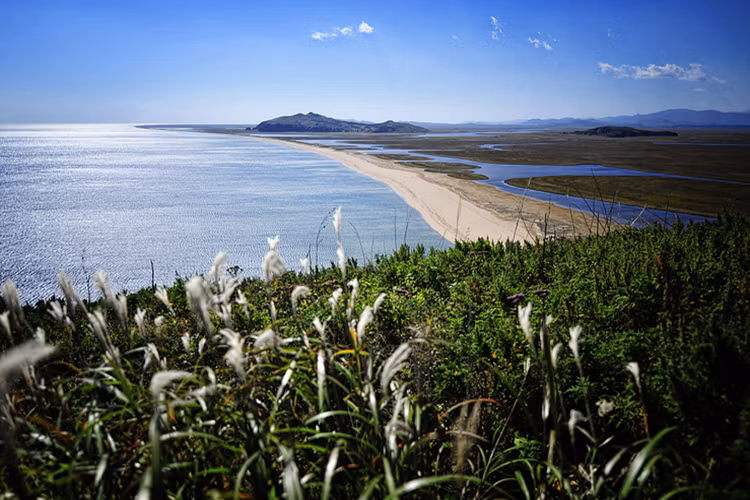 Bờ biển với dải cát dài 17km của khu bảo tồn biển Viễn Đông. Nguồn ảnh: TASS.