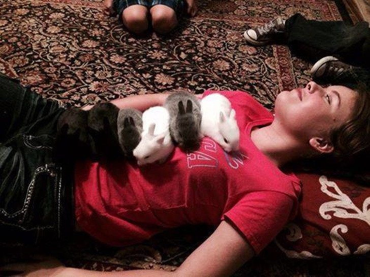 Cô con gái yêu thích động vật.