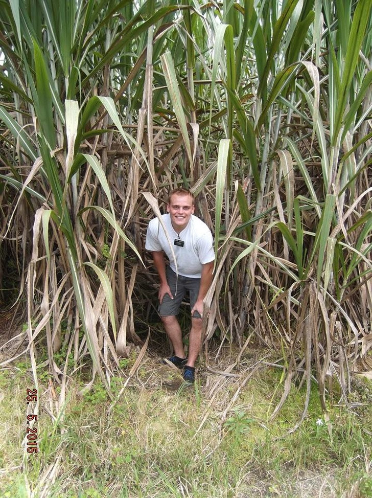Mỗi thành viên lại có sở thích riêng.