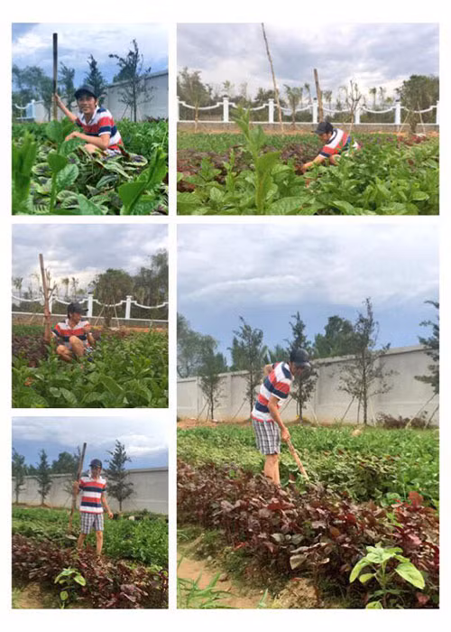 Khi thảnh thơi, Hoài Linh không ngần ngại chăm sóc nhà thờ Tổ nghiệp như trồng rau, chăm bón cây cối trong khuôn viên.