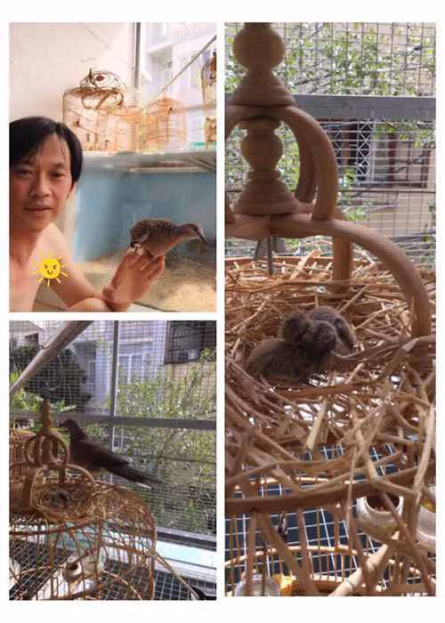 "Tối tôi đi diễn, ngày rảnh rỗi thì chơi với tụi nó. Tôi không như người ta là phải đi vũ trường với tiếng nhạc đùng đùng, ồn ào, nói chuyện cũng không được", nam danh hài chia sẻ.