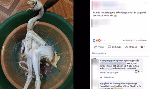 Vi bo chong khong thich an da ga, nang dau vat long ga 