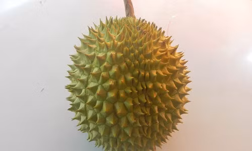 Mach ban cach chon sau rieng chuan ngon, chi liec qua cung biet