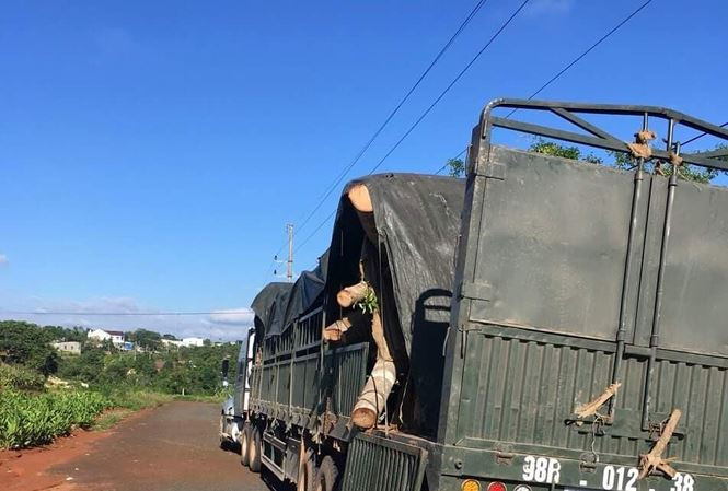 Phat hien cay da 'khung' khong giay to tren duong ra Ha Noi