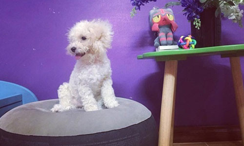 Nguong mo chu cun dang yeu duoc theo chan co chu xinh dep di du lich