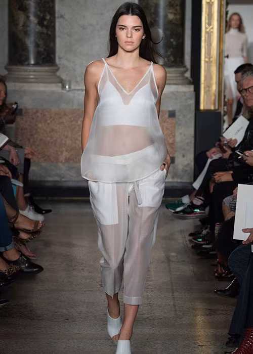 Kendall bắt đầu gây chú khi xuất hiện trong chương trình truyền hình thực tế về chính gia đình cô.