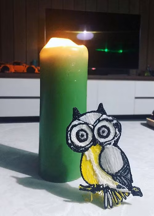 Mới đây, Cường Đô la còn tự tay làm mô hình cú mèo để dành tặng bạn gái. Nhận được quà, Đàm Thu Trang khoe với bạn bè. Cô chia sẻ, bạn trai nói cô giống như cú mèo dễ thương. Ảnh: Instagram