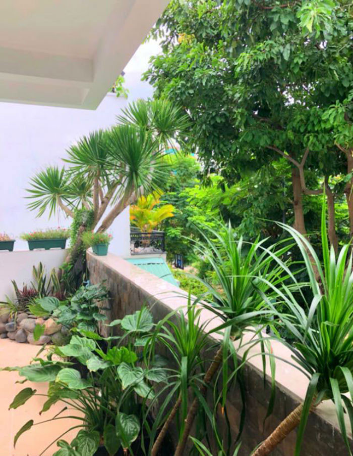 Ngoài sân vườn, vợ chồng Quyền Linh trồng rất nhiều cây xanh. Có cả một bể bơi để phục vụ sở thích bơi lội của hai công chúa nhỏ nhà nam diễn viên.