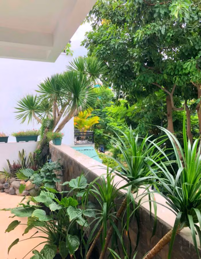 Ngoài sân vườn, vợ chồng Quyền Linh trồng rất nhiều cây xanh. Có cả một bể bơi để phục vụ sở thích bơi lội của hai công chúa nhỏ nhà nam diễn viên.