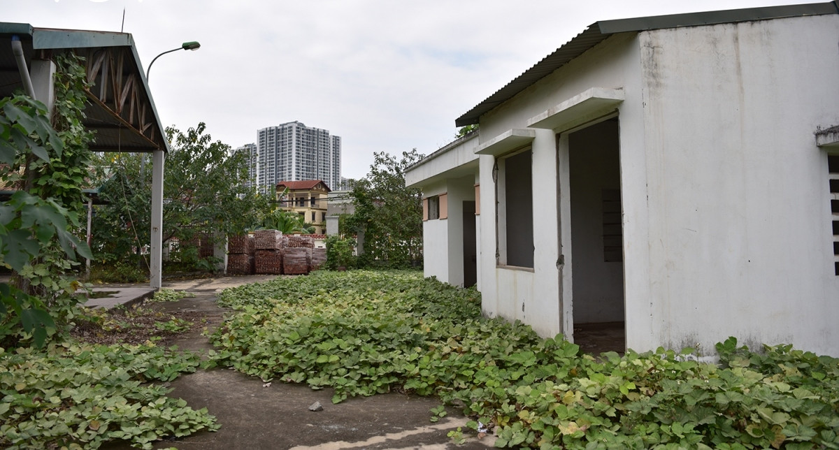 Lâu ngày khu chợ không được quan tâm, dọn dẹp nên cây cỏ dại mọc tràn lan khắp nơi. (Ảnh: VOV).