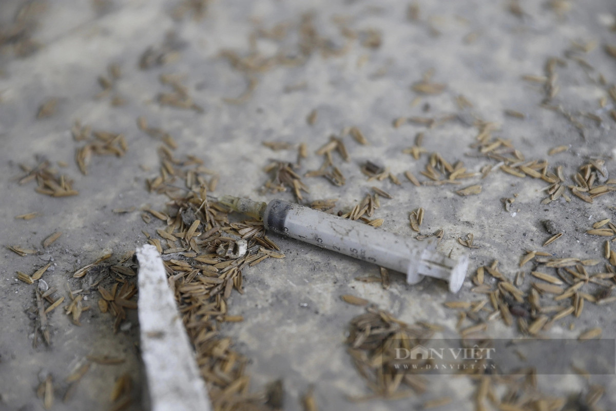 Thậm chí, có cả kim tiêm. (Ảnh: Dân Việt).