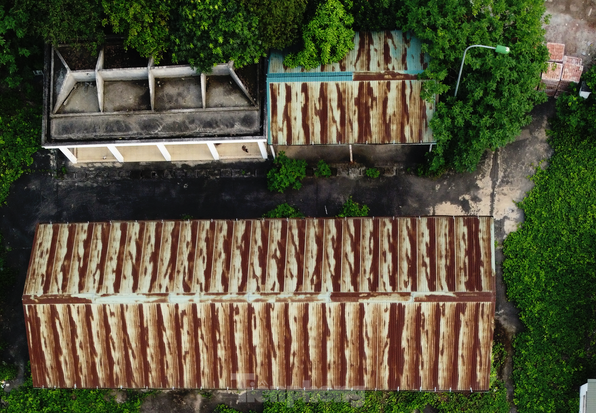 Hiện tất cả các hạng mục của chợ được xây dựng đã xuống cấp nghiêm trọng. (Ảnh: Tiền Phong).