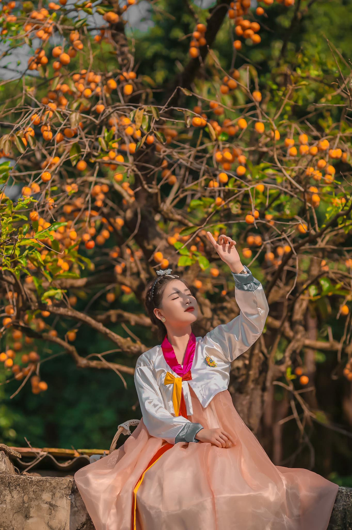 Nhiều người ở xa vẫn tìm đến check-in, “sống ảo” với cây hồng cổ Ninh Bình. Đến đây, khách thường thích mặc trang phục của xứ sở kim chi vì bối cảnh đẹp giống như Hàn Quốc.